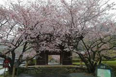 20170407