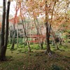 祇王寺