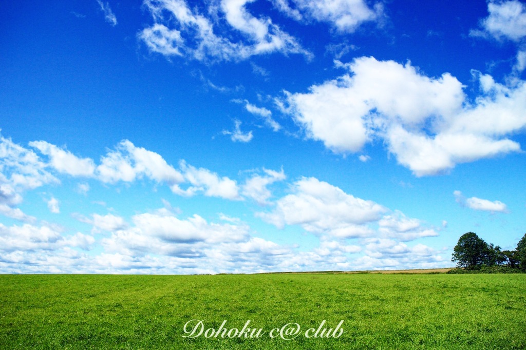 広がる青空