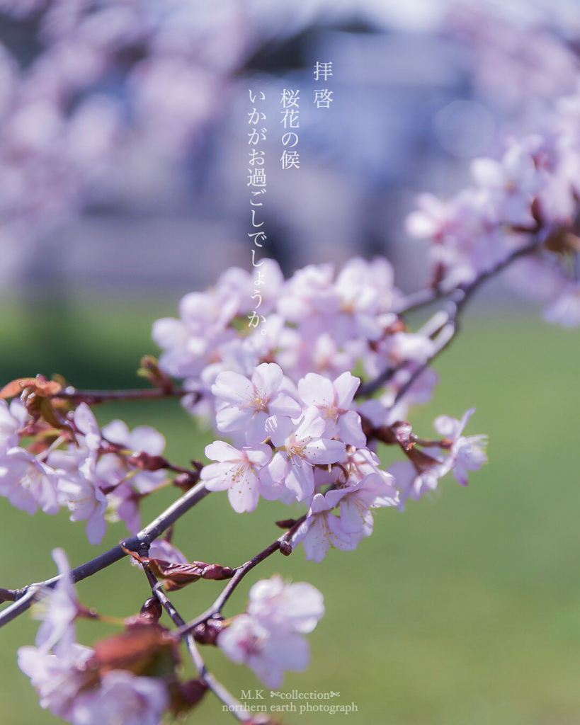 手紙 2019春