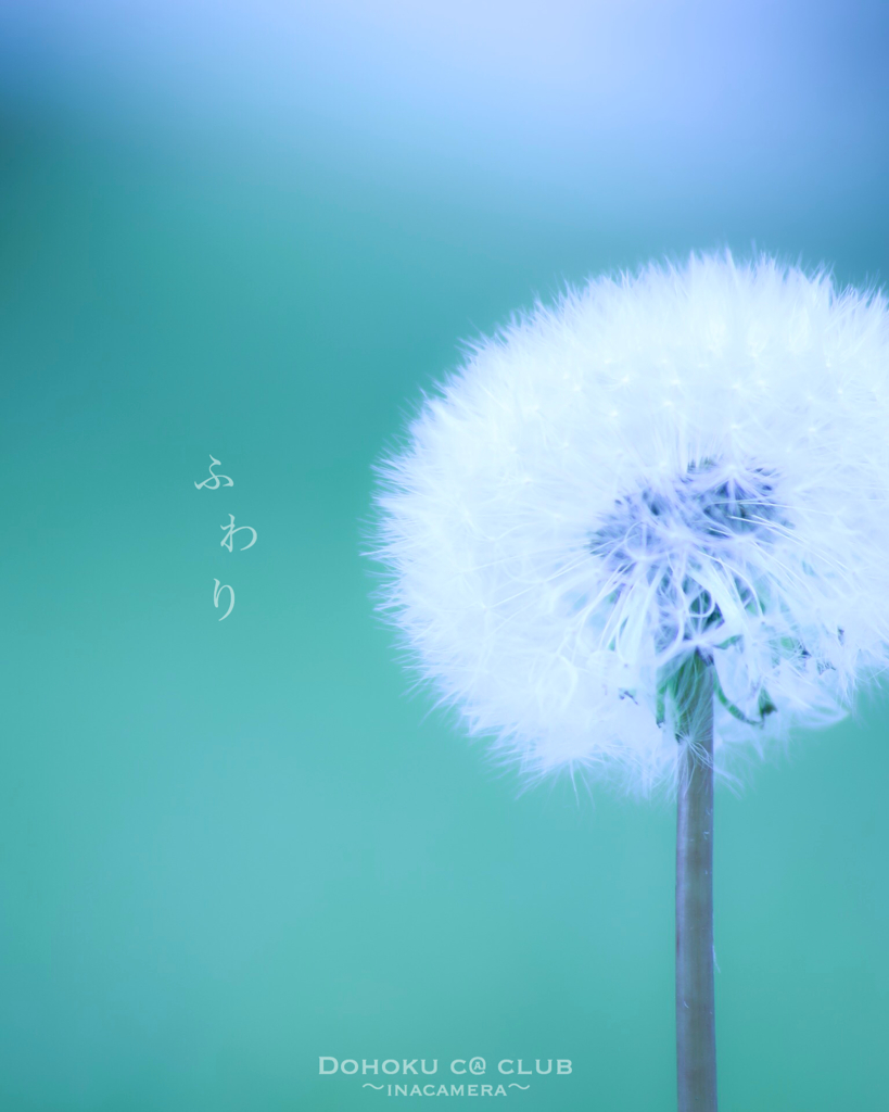 ふわり