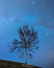 夜空の宝石