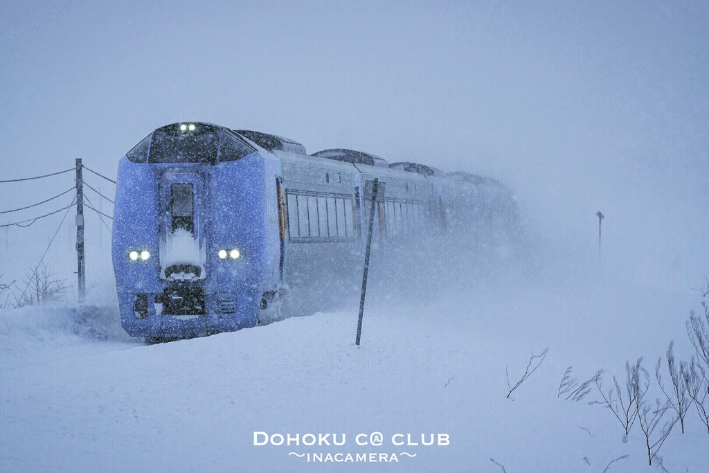 雪まみれ