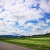 そば畑を見に行こうよ！