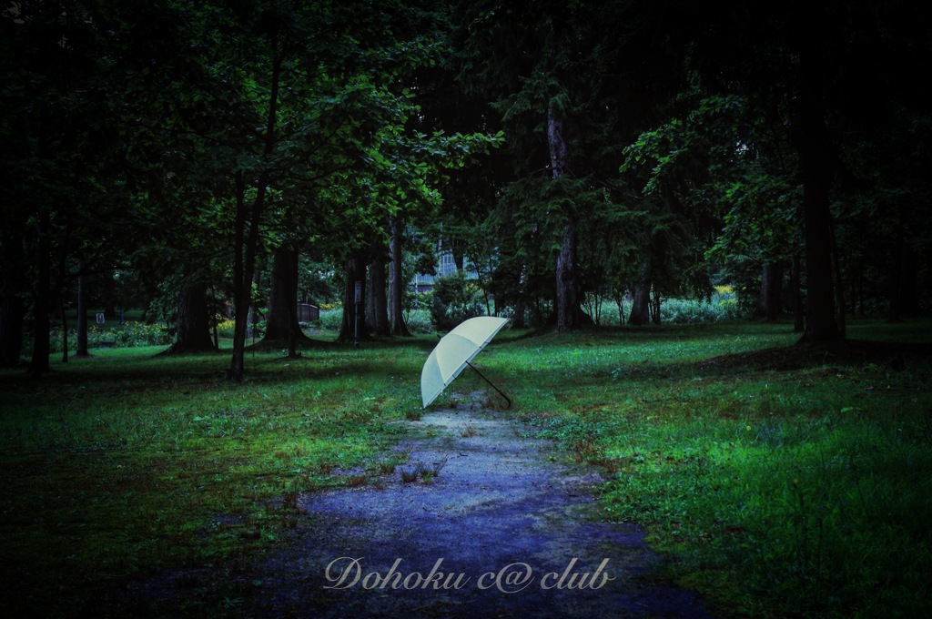 umbrella