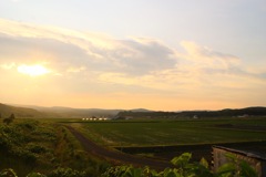 朝焼けの田園風景