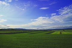 青 ＋ 緑 ＝ 北海道