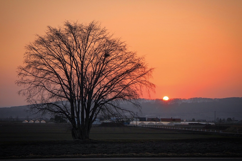 帰路の夕陽が眩しくて