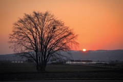 帰路の夕陽が眩しくて