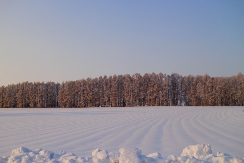風が描く雪上線
