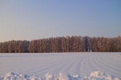 風が描く雪上線