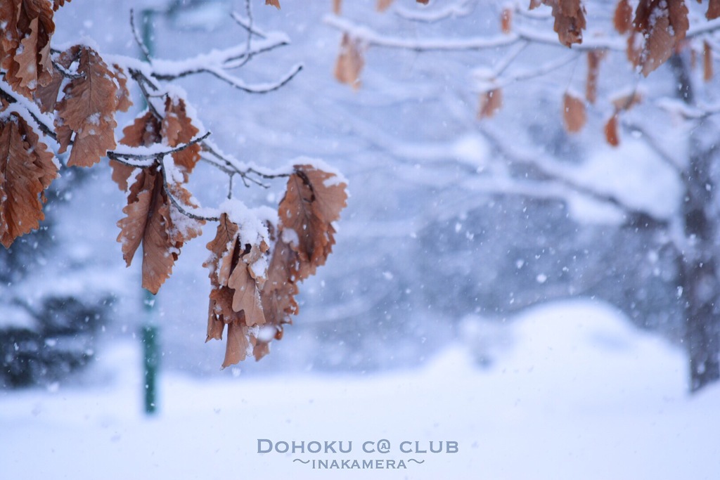降り積もる雪の中で
