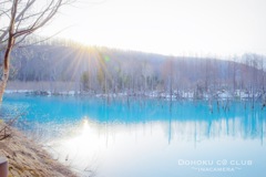 朝陽が昇る青い池