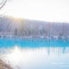 朝陽が昇る青い池