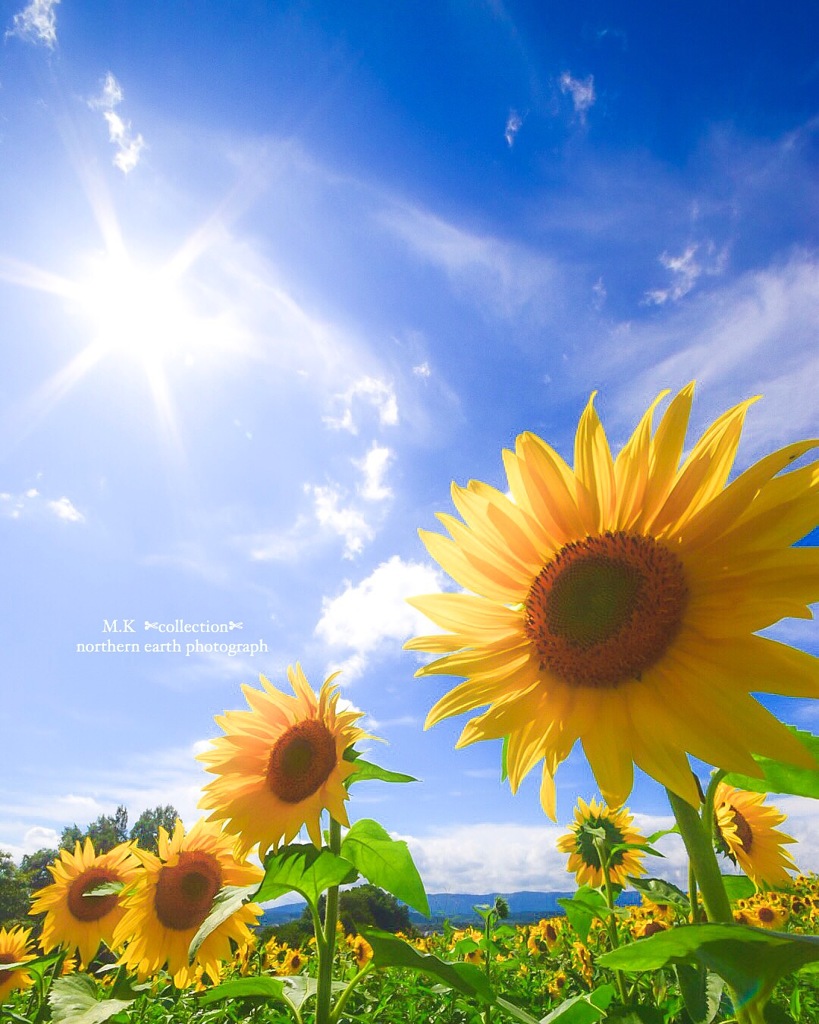 SUN