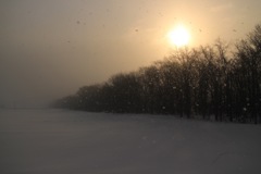 粉雪