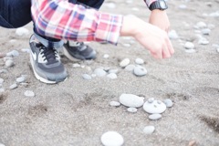 海