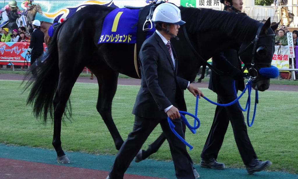 ﾀﾞﾉﾝﾚｼﾞｪﾝﾄﾞ(JBCｽﾌﾟﾘﾝﾄ出走馬)