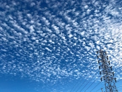 ウロコ雲