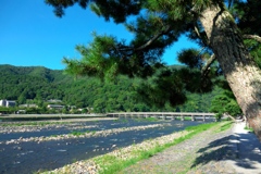 朝の渡月橋