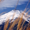 富士山14