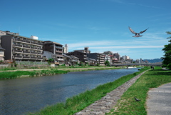 鴨川1