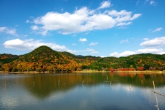 広沢池の紅葉