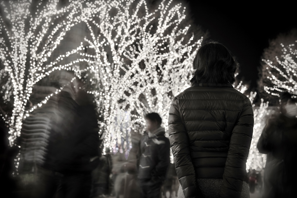 クリスマスイルミ