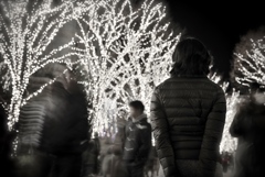 クリスマスイルミ