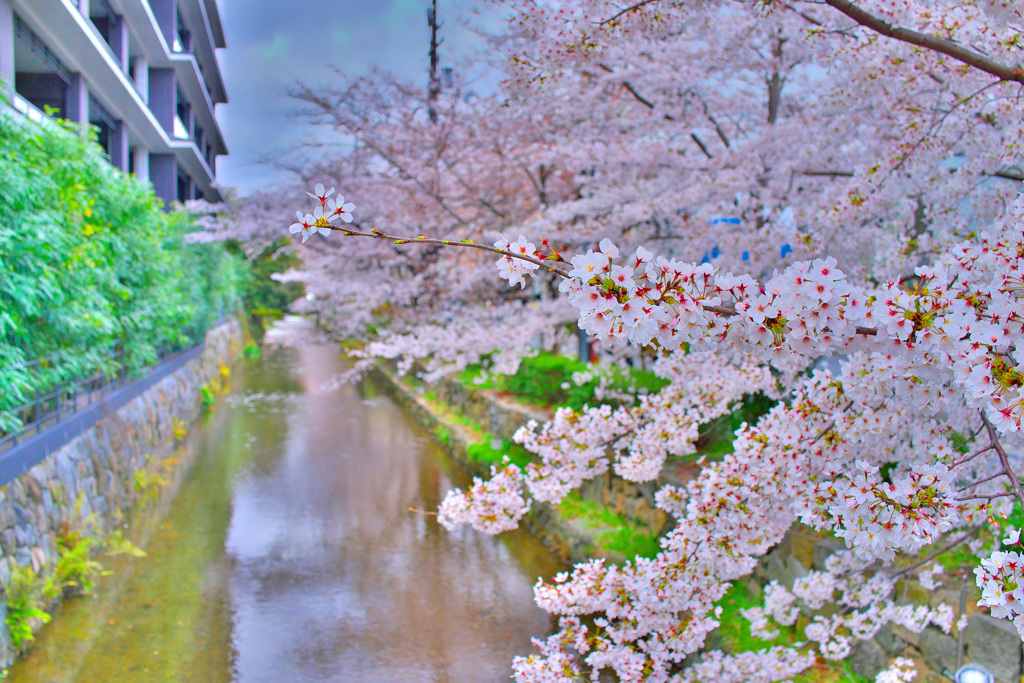 河川敷