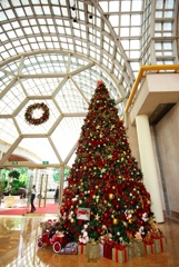 シンガポール18