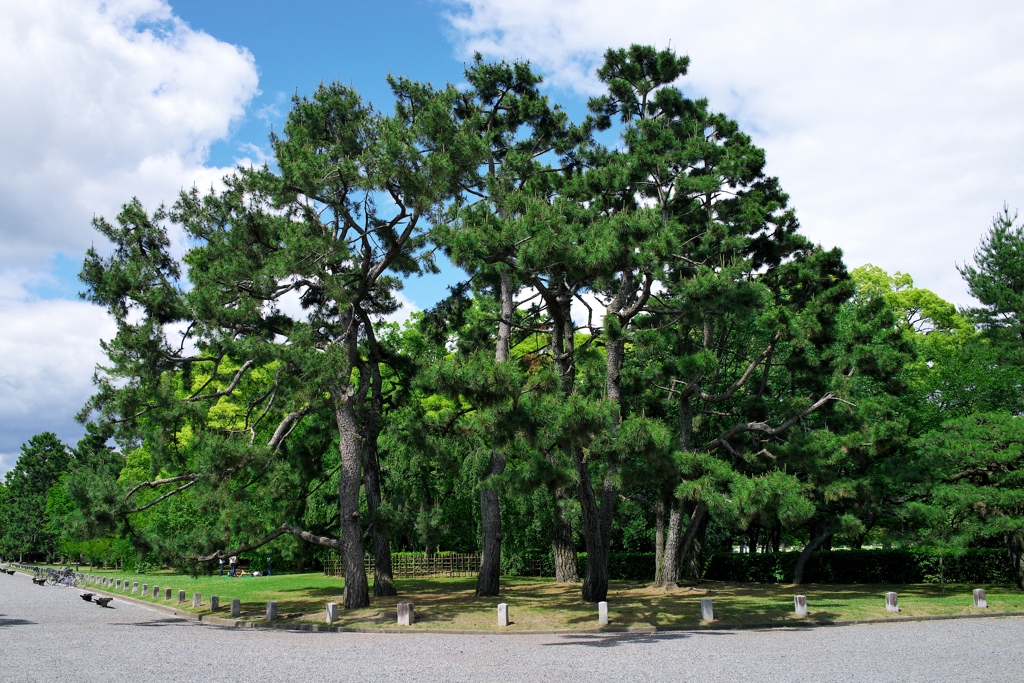 京都御所