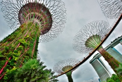 シンガポール52