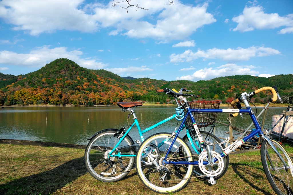 広沢池と自転車