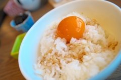 たまごかけご飯