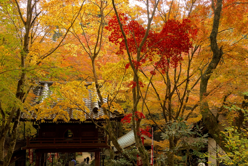 山口 龍蔵寺