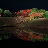 紅葉2