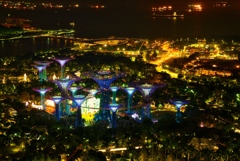 シンガポール48