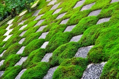 東福寺 小市松の庭園