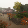 函館25