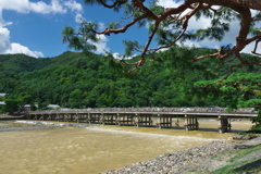 台風後の渡月橋