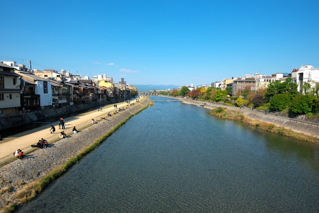 本日の鴨川