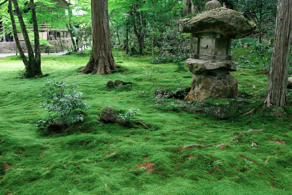 三千院⑦