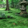 三千院⑦