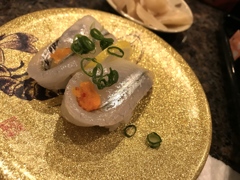 サヨリ