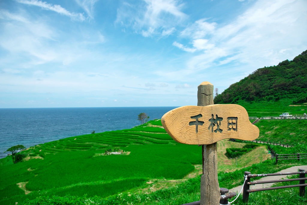 千枚田