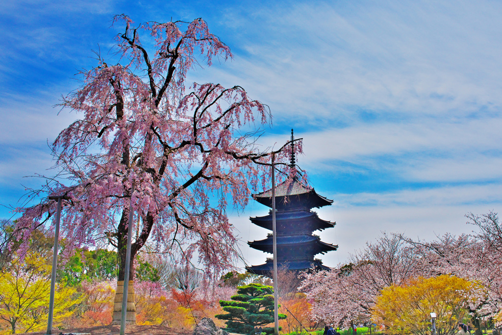 東寺②