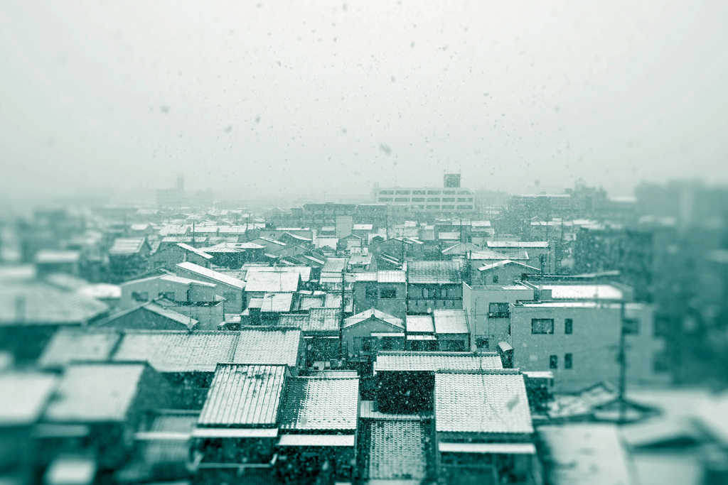 ある雪の日