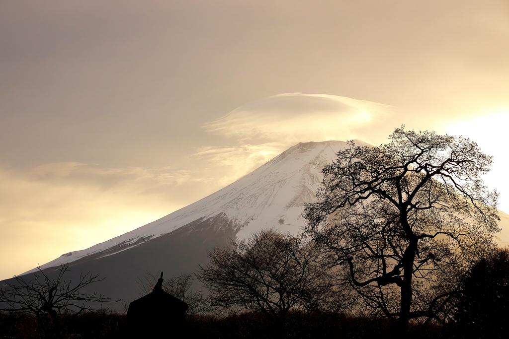 富士山22