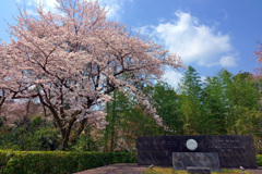 石清水八幡宮①